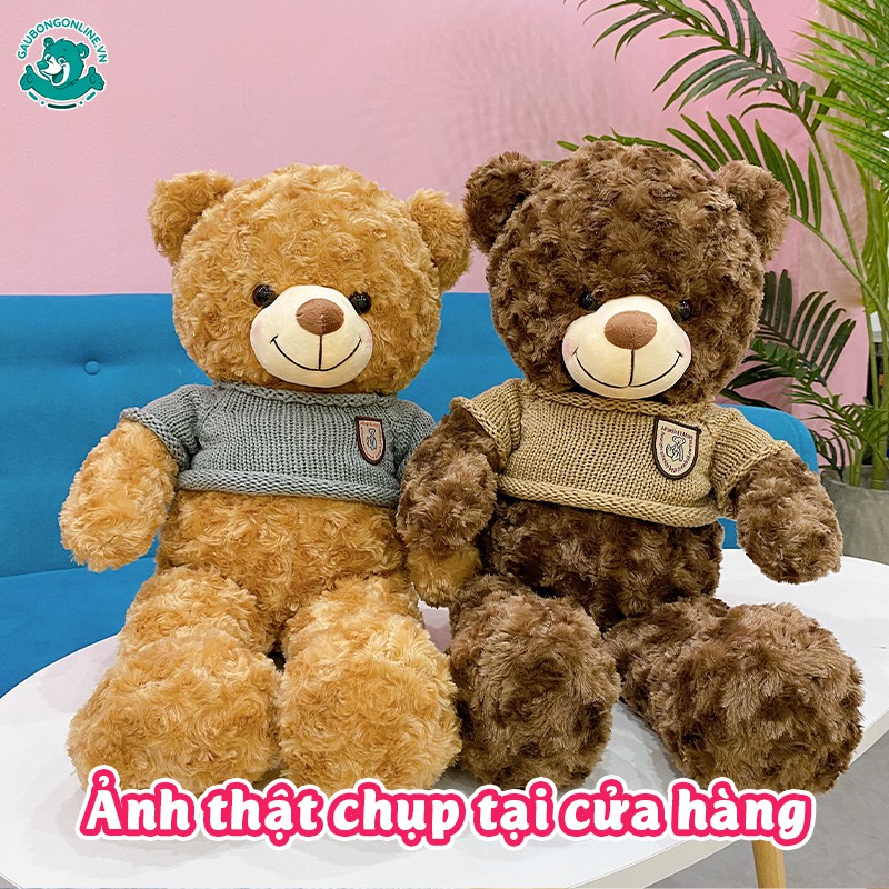 Gấu Bông Teddy Lông Xoắn Má Hồng Cao Cấp Gấu Bông Online