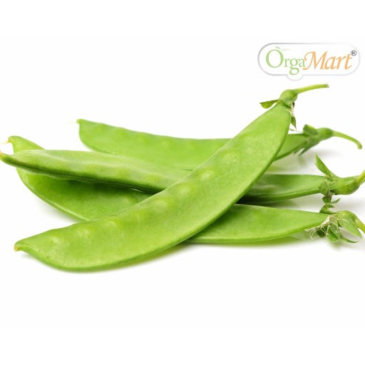 Hạt giống đậu hà lan thu trái Rạng Đông