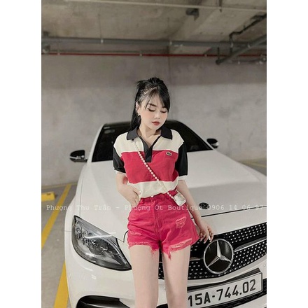 Áo polo cá sấu phối màu đen đỏ