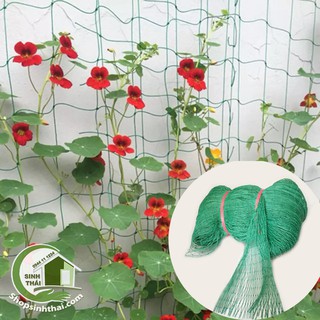 Lưới nhựa xanh làm giàn cho cây leo, làm hàng rào, quây chuồng gà - lưới chắn bóng [ 1m x khổ 2,5m x lỗ rộng 5cm ]