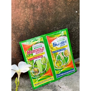 Cặp đôi ricegold sunshi 20g- Xử lý cháy bìa lá- đạo ôn lá- giúp cây xanh mát- lem lép hạt lúa