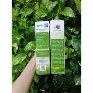 CÀ PHÊ XANH KHÁNG MỠ CHÍNH HÃNG