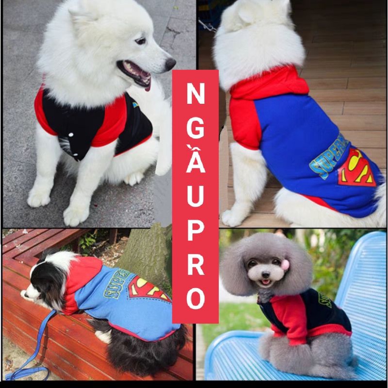 Quần Áo cho chó nhỏ Poodle, Phốc sóc, Pug - Áo cho chó mèo thú cưng SUPERMAN có mũ 2 chân dưới 10kg