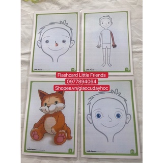 FLASHCARD LITTLE FRIENDS -76 thẻ ép plastic