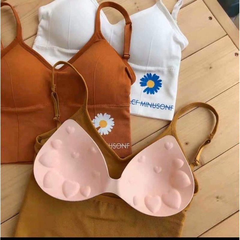 BRA HOA CÚC CHO TẬP GYM,...