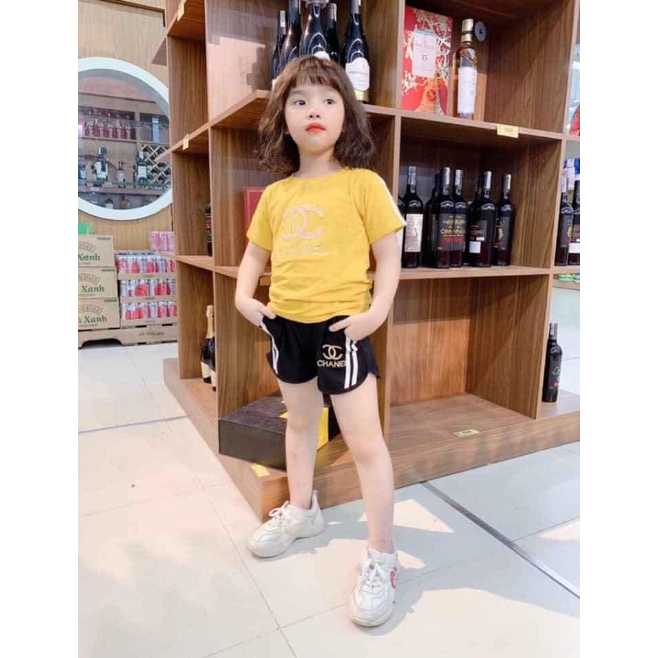 Bộ Cotton Bé Gái Size Đại💥 FREESHIP💥 Giảm Ngay 10k Khi Nhập Mã [MINH10k0] - Quần Áo Trẻ Em -  Bộ thun cotton bé gái