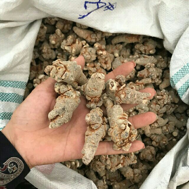 500g Tam thất bắc [ loại 6 củ/ lạng ] hàng luôn mới