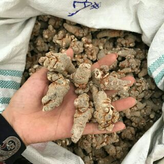500g Tam thất bắc hàng luôn mới