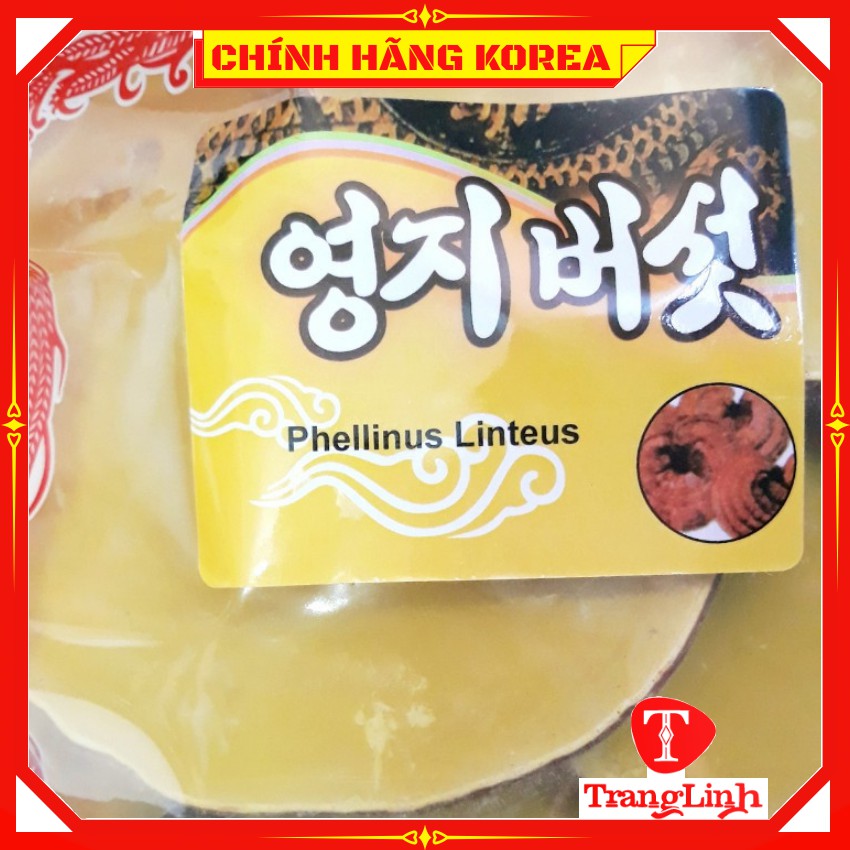 Nấm linh chi hàn quốc chính hãng - Nấm túi cam 1kg loại đặc biệt giúp thải độc, thanh lọc cơ thể - tranglinhkorea