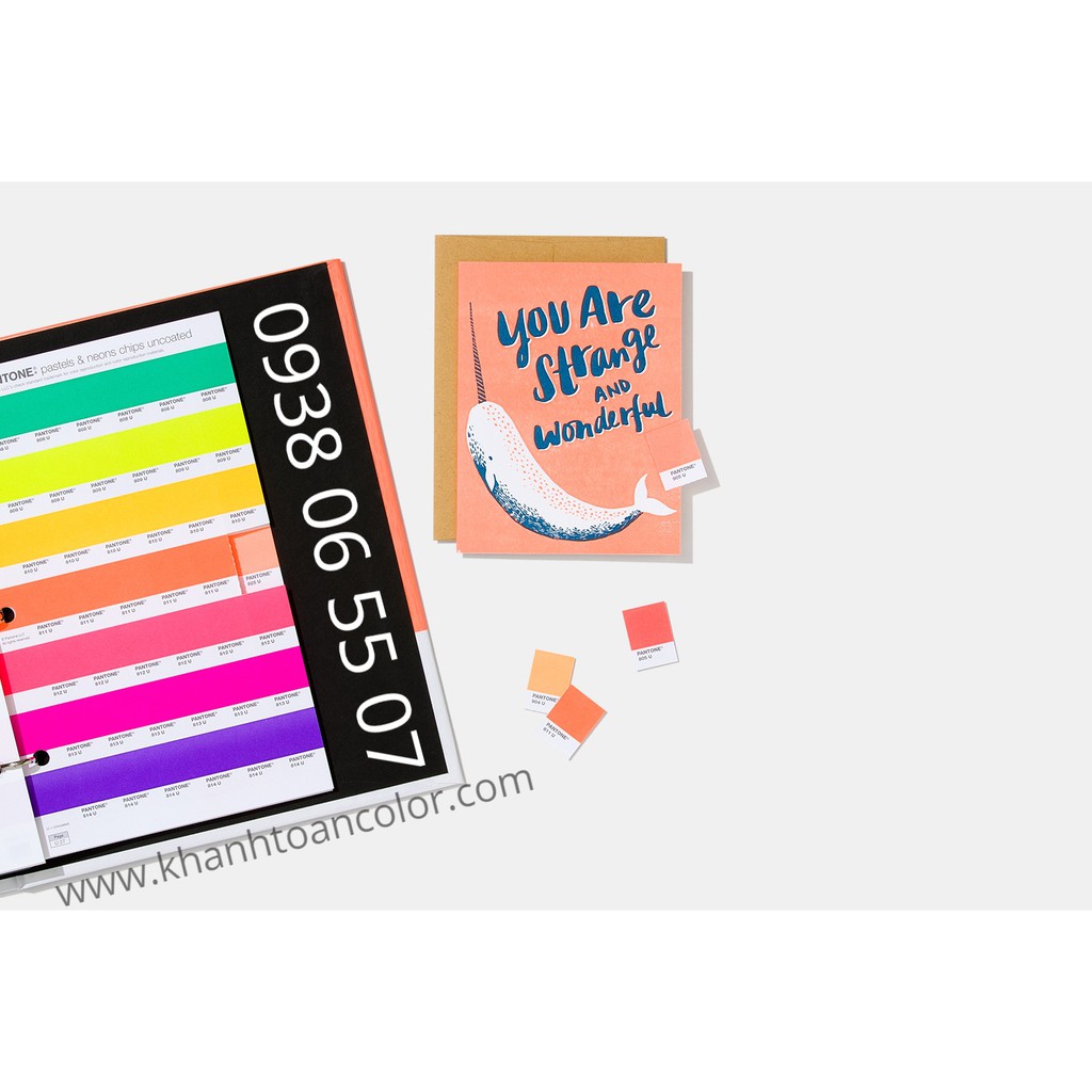 (CHÍNH HÃNG) Bảng màu Pantone Pastel Neon Chip Book GB1504A - Phiên bản 2021 - 210 màu phấn và dạ quang đồ họa in ấn