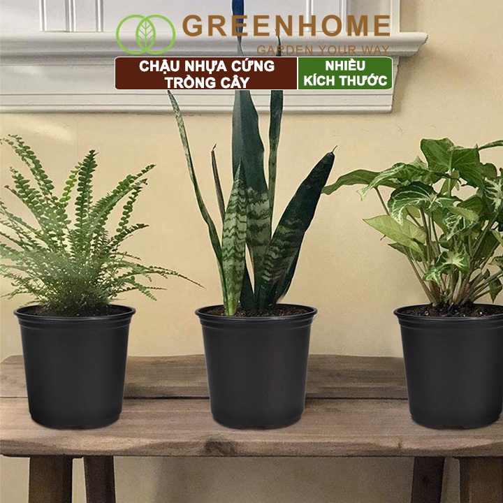 Chậu nhựa trồng cây Greenhome, nhiều size, nhựa cứng, thoát nước tốt, đa dạng kích thước trồng cây, hoa, kiểng lá