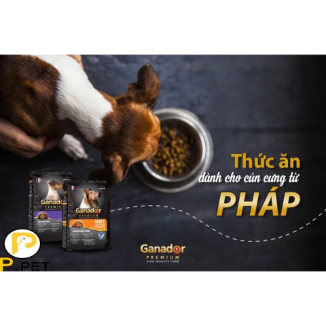 Thức ăn cho cún trưởng thành ganador 400g giá tốt