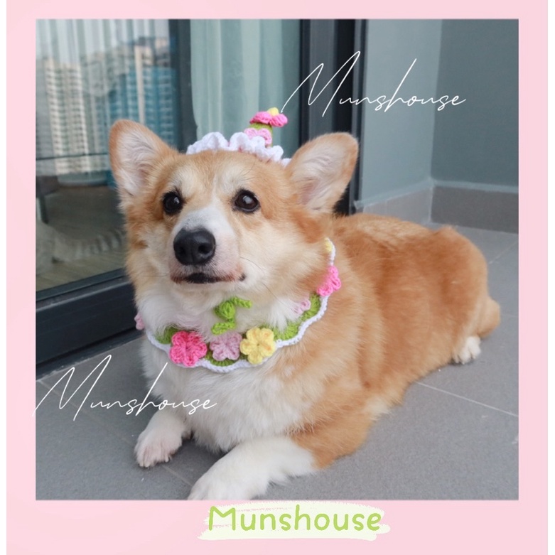 Set mũ chóp + yếm hoa xinh cho thú cưng