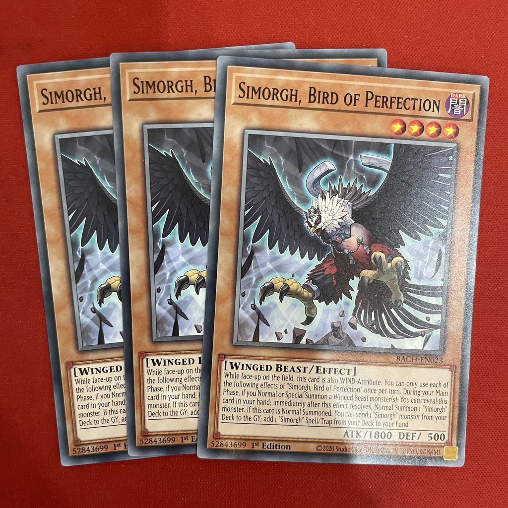 Simorgh, Bird of Perfection