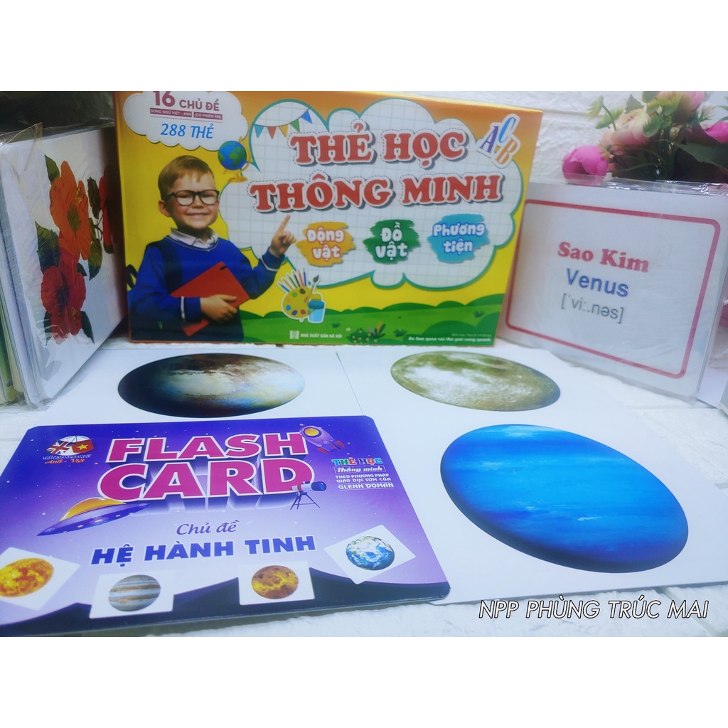 Bộ Thẻ Học Thông Minh Glenn Doman Flashcard 18 chủ đề nâng cấp từ 16 chủ đề lên 288 thẻ giá không đổi