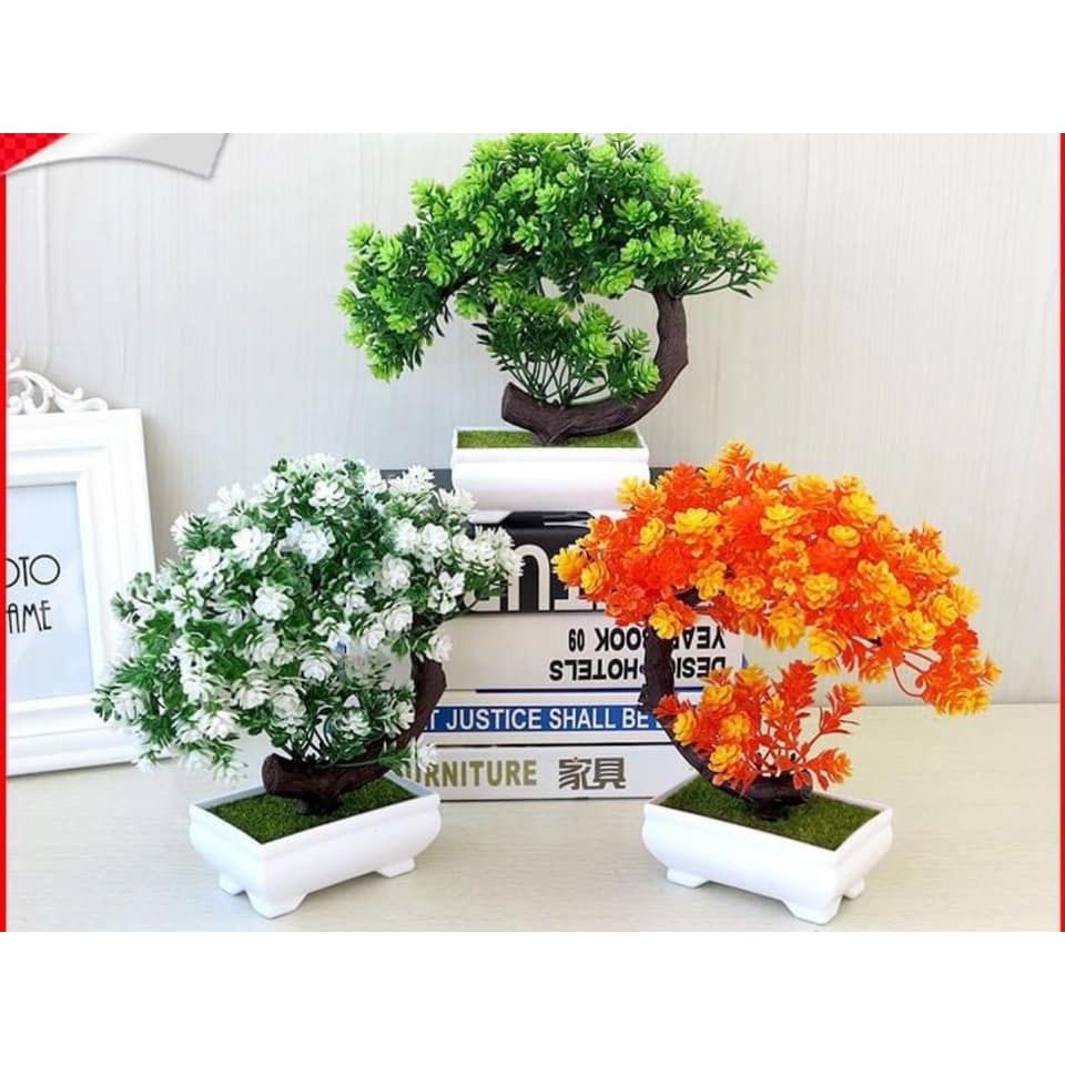Chậu cây bon sai tài lộc phú quý để bàn trang trí - cây giả mini - kèm chậu cắm sẵn như mẫu Milkdecor-02