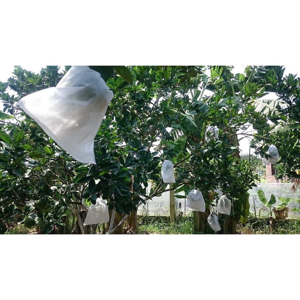 Combo 100 Túi bọc quả ổi, bưởi, xoài, na, mướp, mít, sử dụng được nhiều lần, túi bọc trái cây hạn chế côn trùng