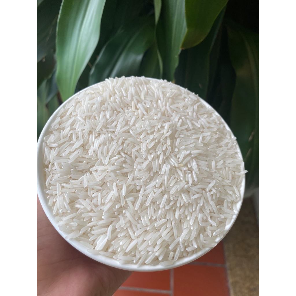 Gạo St25 Đặc Sản Sóc Trằng, Bao 5kg Chính Hiệu Ong Cua, Gạo Cho Cơm Mềm, Đậm Vị, Dẻo, Mùi Thơm Tự Nhiên