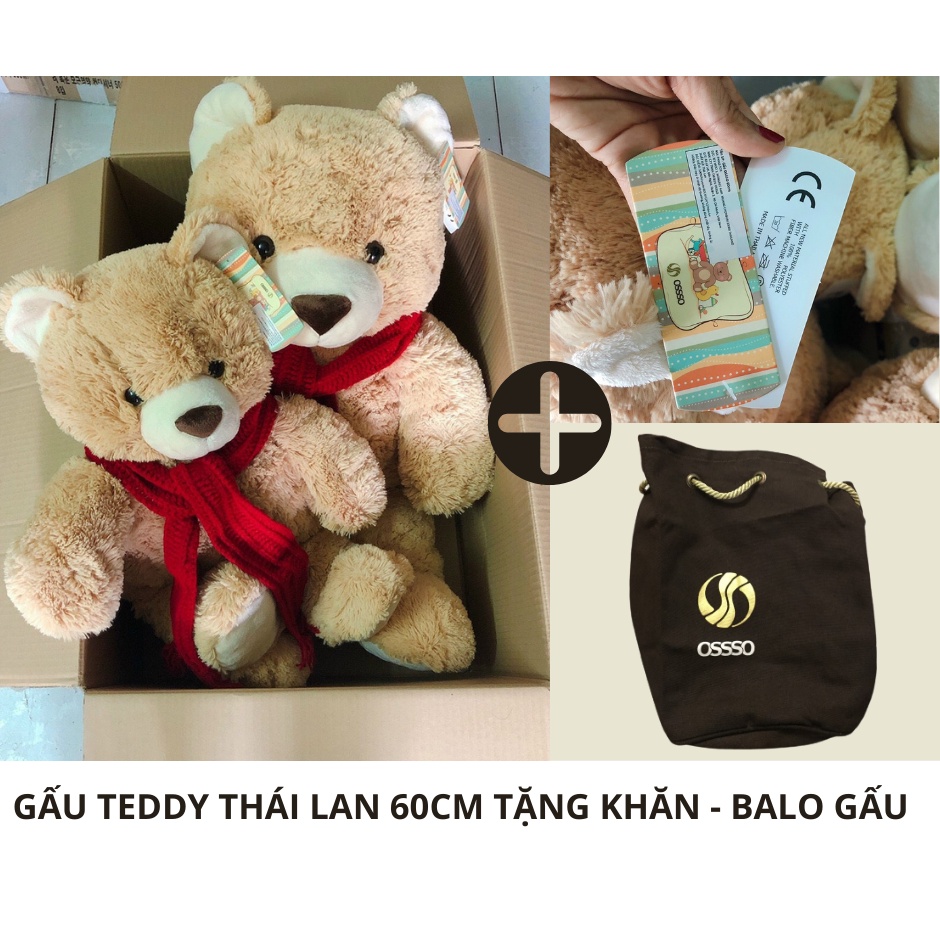 Gấu Bông Teddy Nhập Khẩu Thái Lan Cao Cấp  60cm Tặng Khăn len - Balo gấu