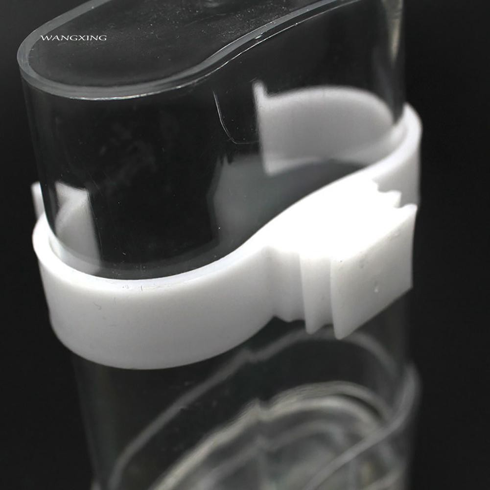 Bát Uống Nước Tự Động Cho Vẹt Cưng