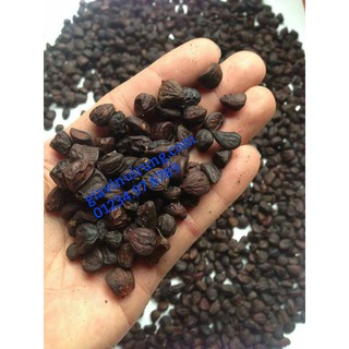 HẠT DỔI RỪNG 100 HẠT + 300G HẠT MẮC KHÉN