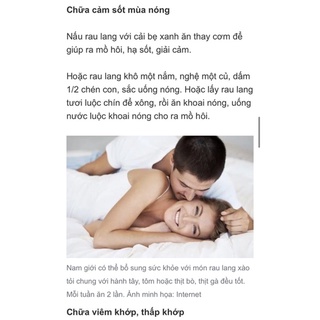 rau lang nhật siêu ngọn 30-40cm(40nhánh)