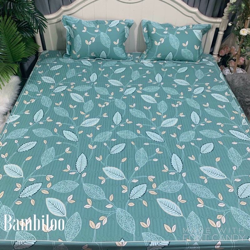 Ga chun trần bông 3 lớp 1m8x2m0 Cotton Poly Drap 4 mùa dày dặn mẫu mã phong phú đa dạng