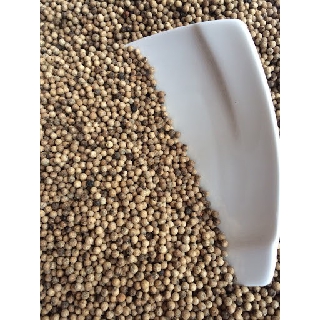 100g/500g Tiêu Sọ Hạt ( Tiêu Trắng )