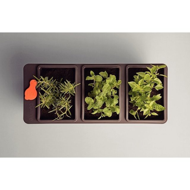 Chậu tự tưới 3 ngăn cao cấp Tramontina - ban công xanh