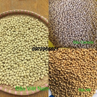 Đậu nành quê hạt vàng