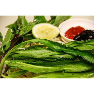 1g (1000 hạt) Hạt giống Mùi Tầu (Ngò Gai)