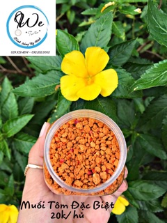[100g] Muối tôm Tây Ninh Đặc Biệt