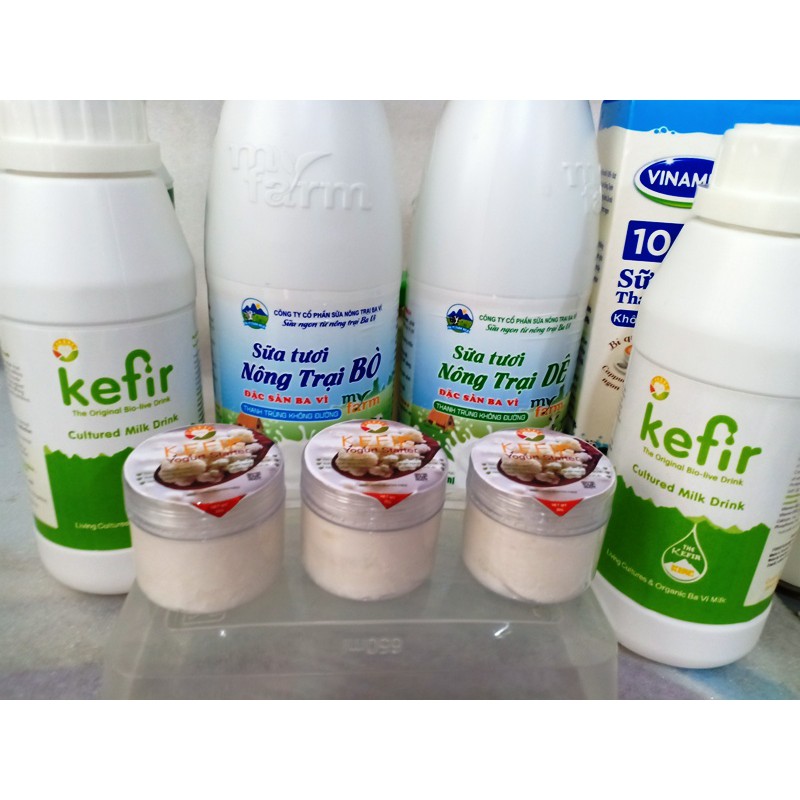 Hạt Sữa Kefir khởi động - Kefir Yogurt Starter Organic Ba Vì.