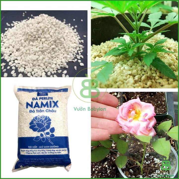 Đá Perlite - Cực Phẩm Cho Sen Đá Và Xương Rồng 5dm3