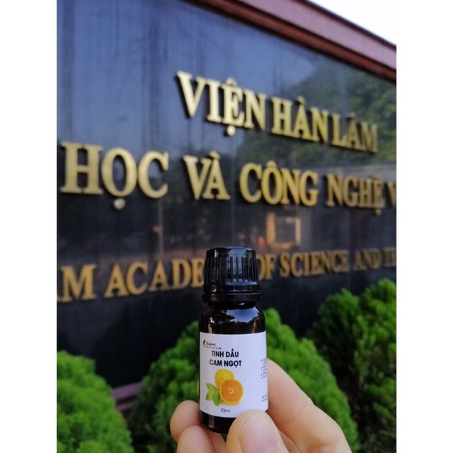 (Giá sỉ) Tinh dầu thiên nhiên các loại tự chọn (10ml) do viện hàn lâm KHVN sản xuất