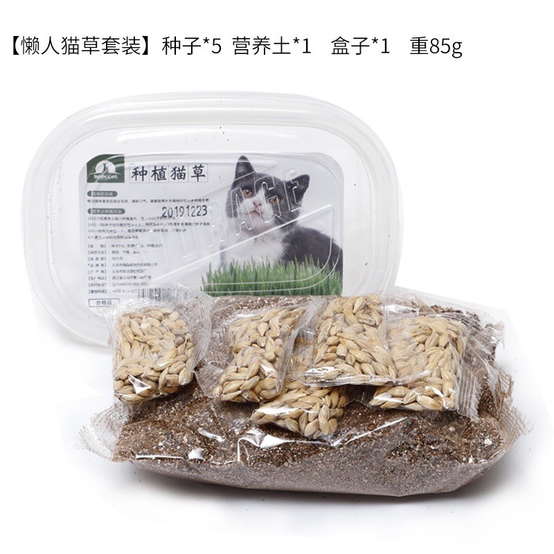 Combo 5 túi hạt giống cỏ mèo, đất và hộp trồng