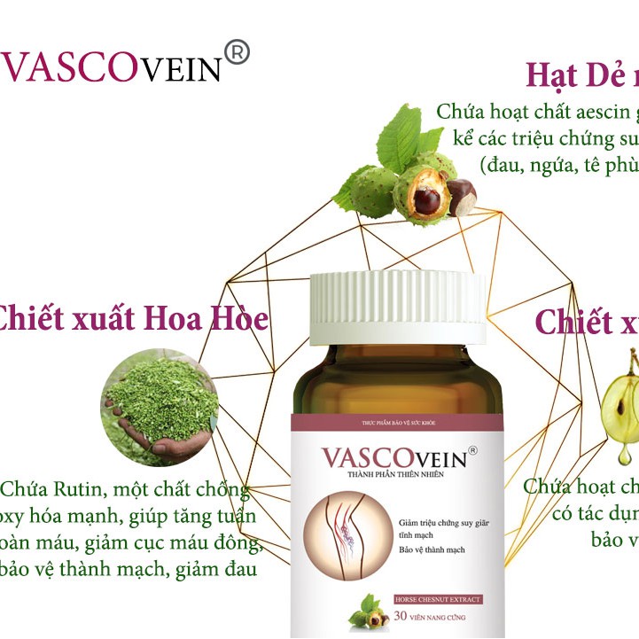 Viên uống Vascovein – Hỗ trợ điều trị suy giãn tĩnh mạch (Hộp 30 viên)