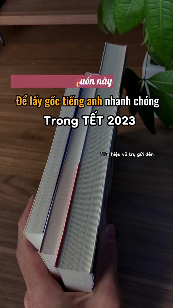Combo sách học tiếng anh giao tiếp cơ bản cho người mới bắt đầu moonbook | BigBuy360 - bigbuy360.vn