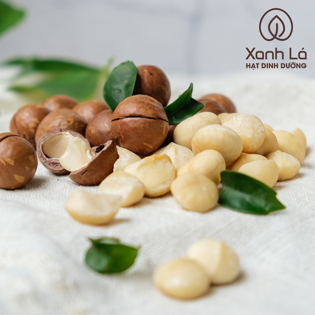 Hạt Macca SẠCH Đăk Lăk sấy nứt vỏ LOẠI 1 VỤ MỚI hàng công ty đạt VSATTP Xanh Lá