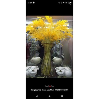 Bông lúa vàng- giả - cành dài