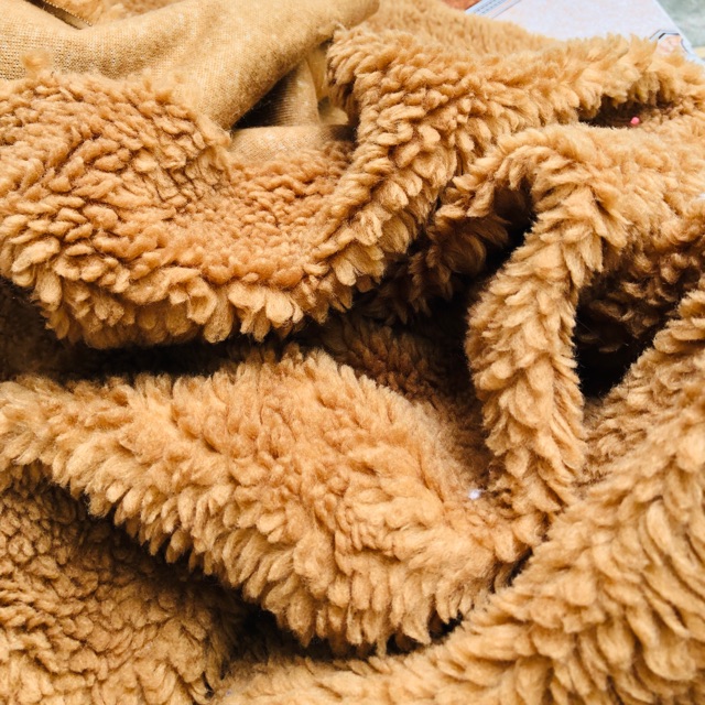 5 kg vải 250k
