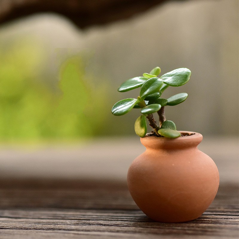 Chậu Hoa Sứ Mini Hình Tròn Dùng Trang Trí Sân Vườn / Ban Công