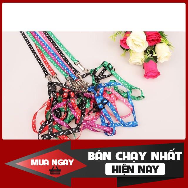 [❌GIÁ SỈ❌] DÂY DẮT CHO THÚ CƯNG DƯỚI 2KG ❤️