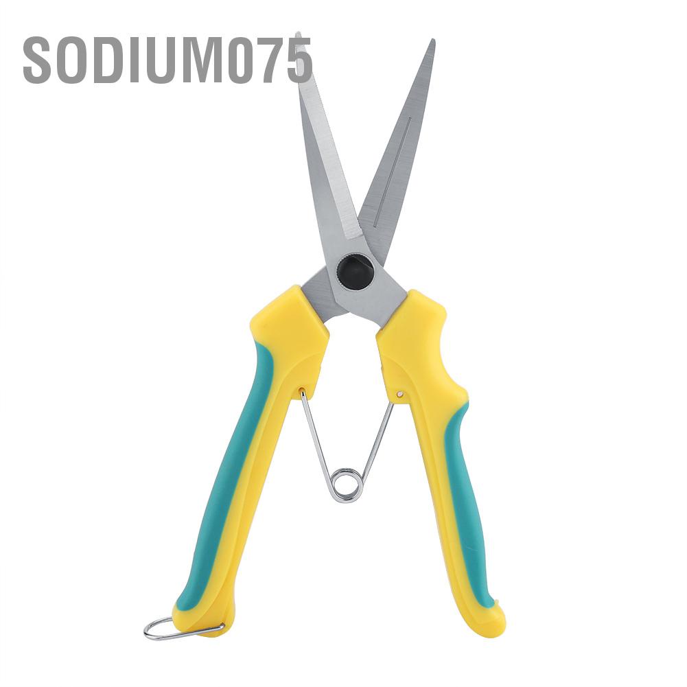 Sodium075 Đã nâng cấp Cây ăn quả cứng cáp cảnh Làm vườn Cắt tỉa Kéo dài làm