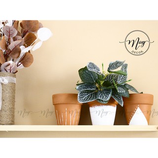 Set chậu đất nung vẽ handmade xinh xắn 12x12cm