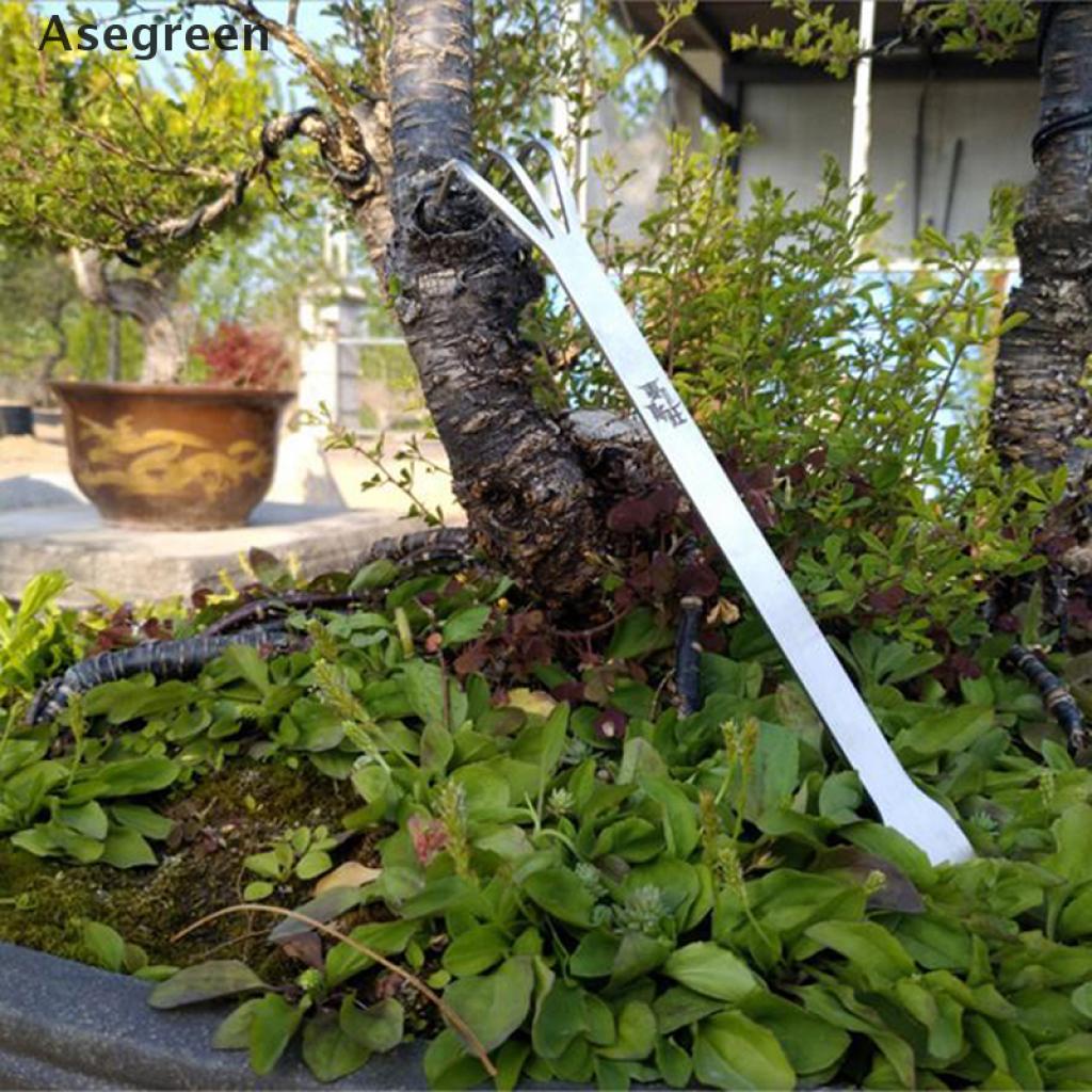 Dụng cụ cào rễ trồng cây bonsai 2 trong 1 bằng thép không gỉ