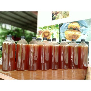 Mật Ong Rừng Nguyên Chất 1 lít