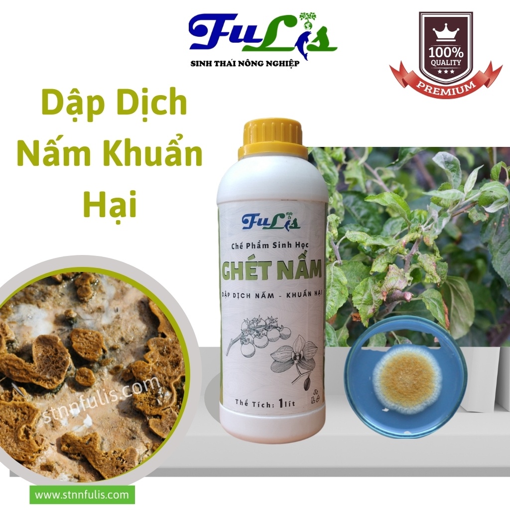 Chế Phẩm Sinh Học Phòng Trị Nấm Khuẩn Hại GHÉT NẤM Cho Hoa Lan, Hồng, Cây Ăn Quả, Rau Màu Chính Hãng Giá Rẻ - stnnfulis