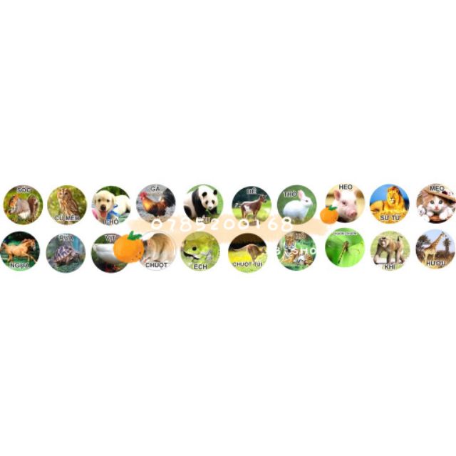 CỜ LOTO THÚ LIÊN HIỆP THÀNH