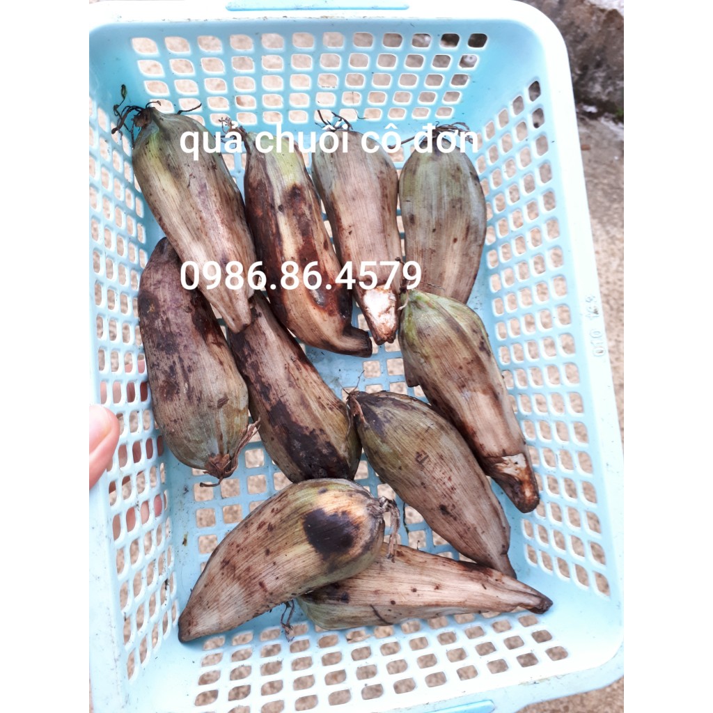 Quả chuối cô đơn 1kg